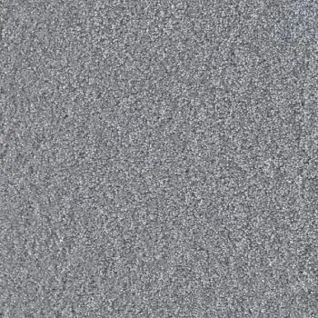 Draufsicht Girloon Cloud 311 Velours Teppichboden